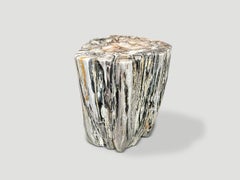 Andrianna Shamaris Ancient Petrified Wood Side Table