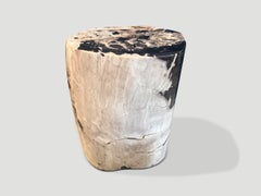 Andrianna Shamaris Ancient Petrified Wood Side Table