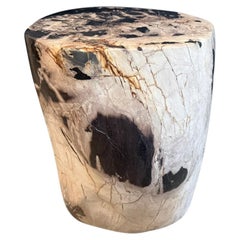 Andrianna Shamaris Ancient Petrified Wood Side Table