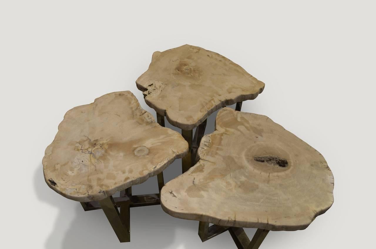 Organic Modern Andrianna Shamaris Petrified Wood Side Table For Sale