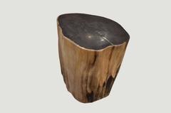 Super Smooth Petrified Wood Side Table
