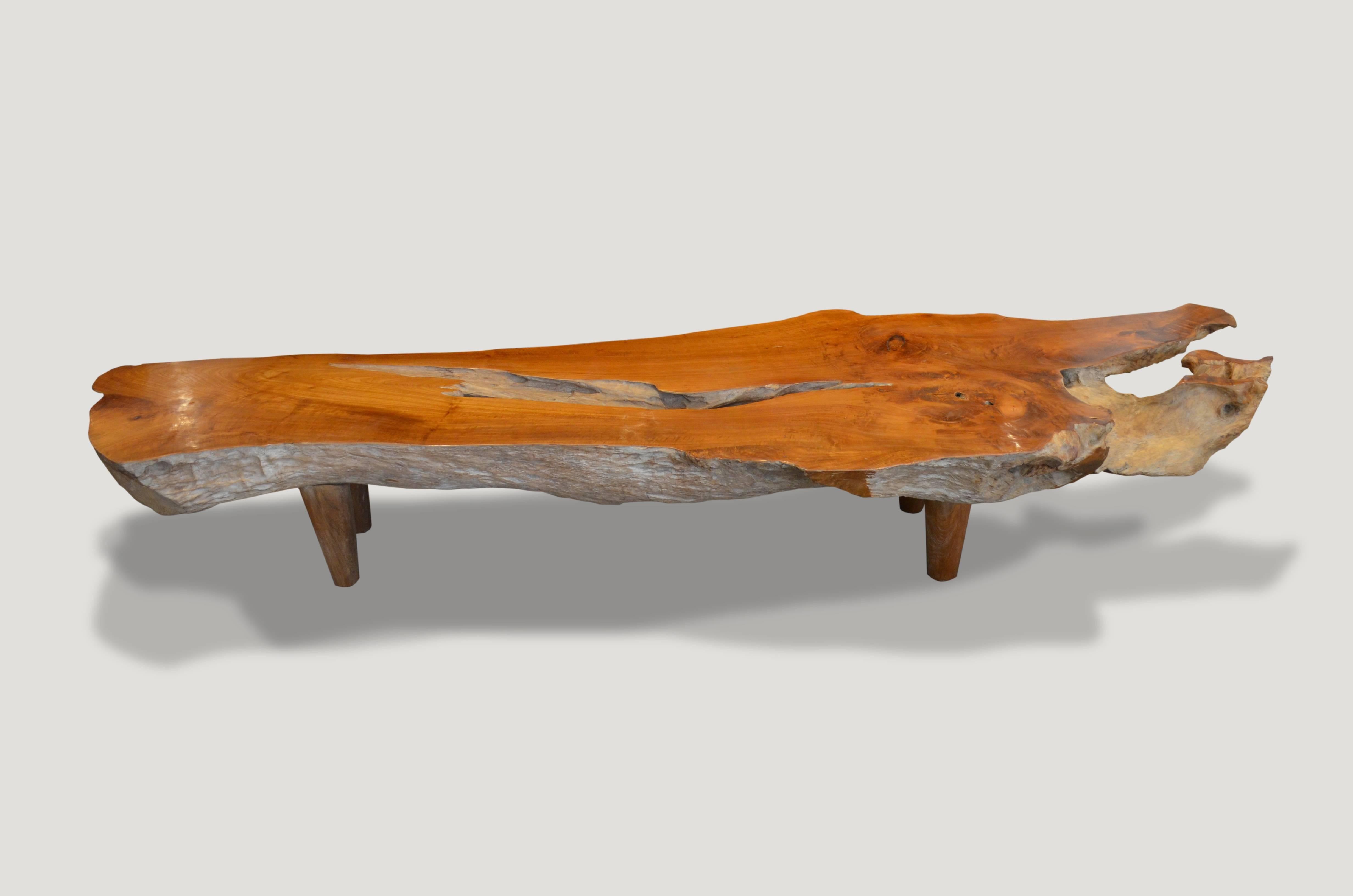 Impressive 8” single teak wood slab top coffee table or bench. We have added mid century style legs to this stunning organic shape and polished the top to enhance the grain in the reclaimed teak wood, whilst leaving sections of the sides raw for an