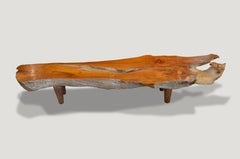 Andrianna Shamaris Single Slab Teak Wood Coffee Table or Bench