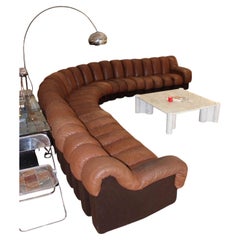 De Sede DS 600 Snake Sofa by Ueli Berger in Brown Leather, 26 Elements