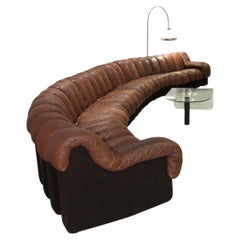 De Sede DS 600 Snake Sofa by Ueli Berger in Brown Leather, 26 Elements