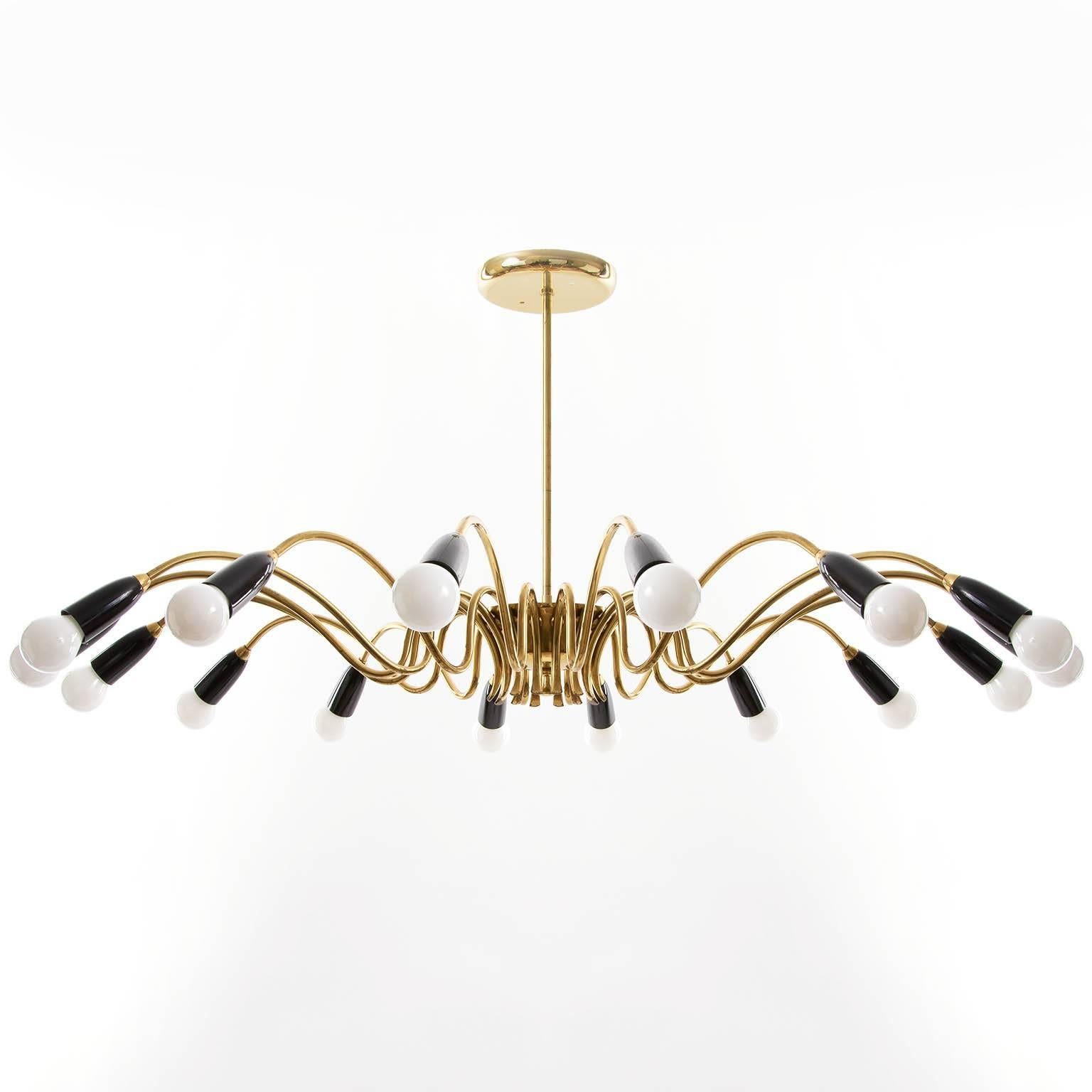 Large 16-arm brass spider light fixture with black fittings from Italy, 1960s. Can be used as chandelier or as flush mount. The stem can be altered to any size for free. Little and nice patina on brass. 16 small base bulbs.

Diameter: with bulbs:
