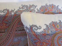 19th Century Paisley Pillows
