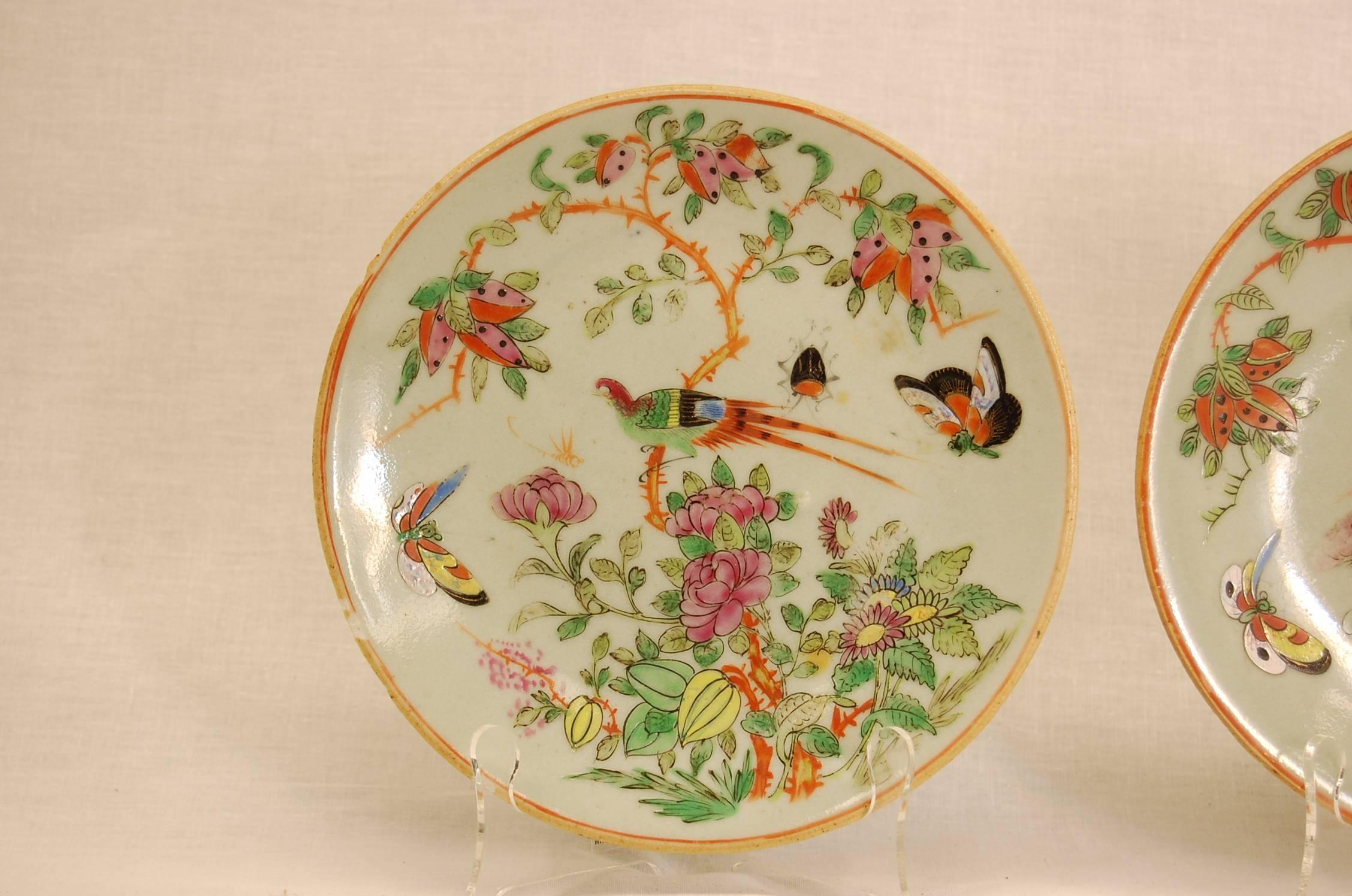 Pair of finely hand-painted plates in enamels of flowers, butterflies, birds, fruit, etc. over a celadon ground with gilt rimmed border. Very good condition with two small chips along the rim as shown.