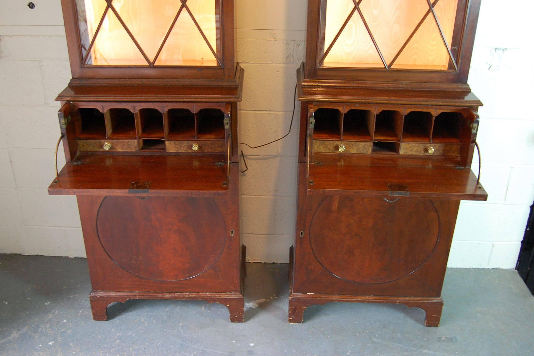 British Pair of George III Style Mahogany Collection Cabinets For Sale