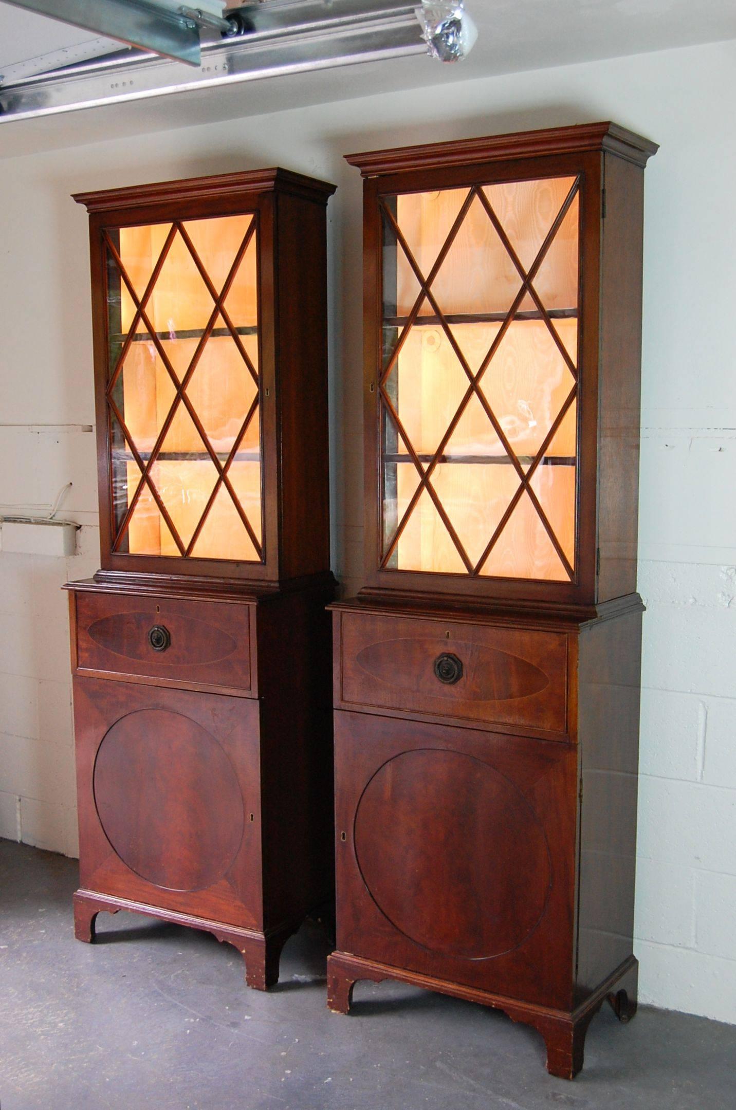 Pair of George III Style Mahogany Collection Cabinets For Sale 1