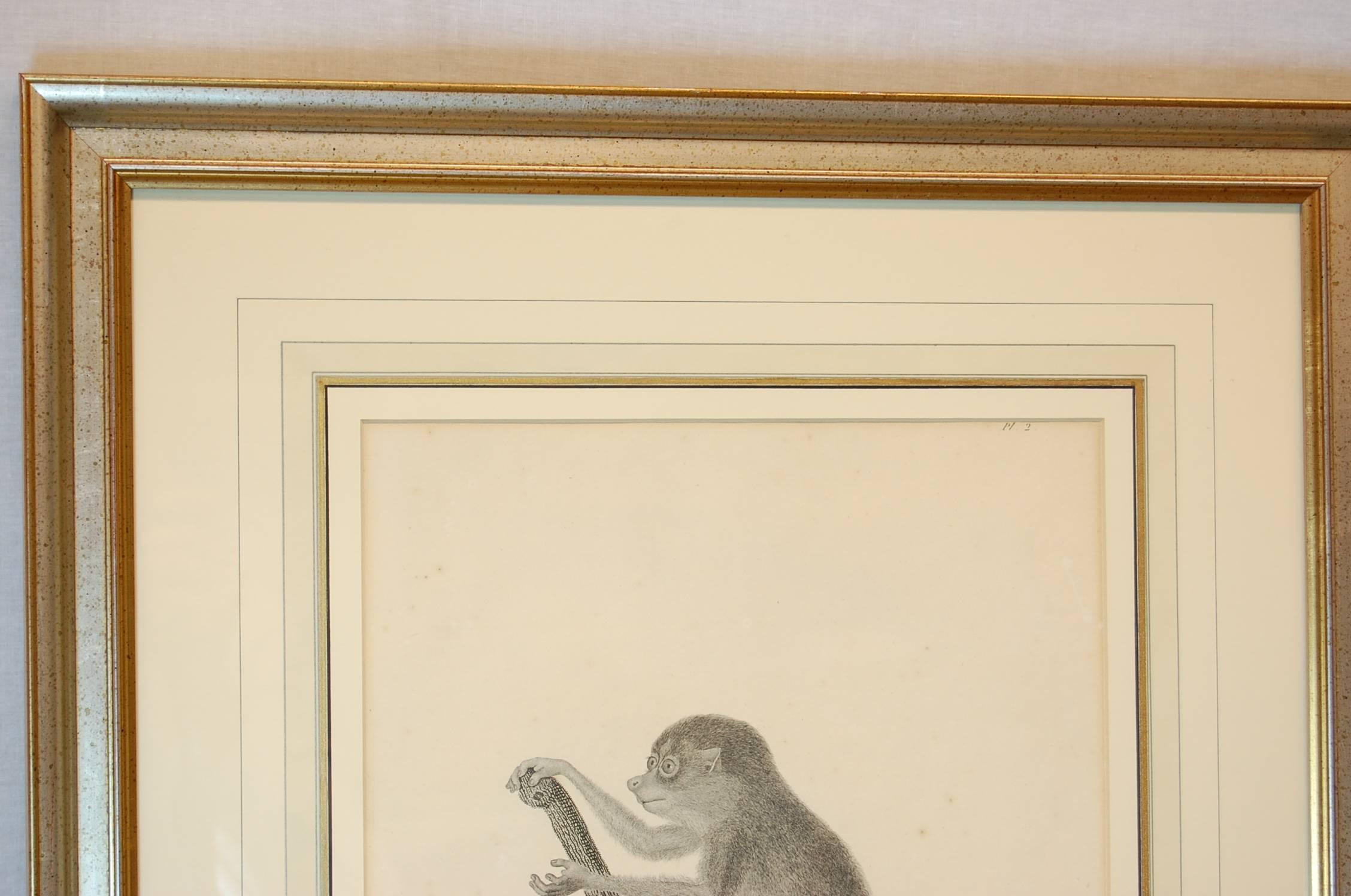 French Framed Late 18th/ 19th Century Print 