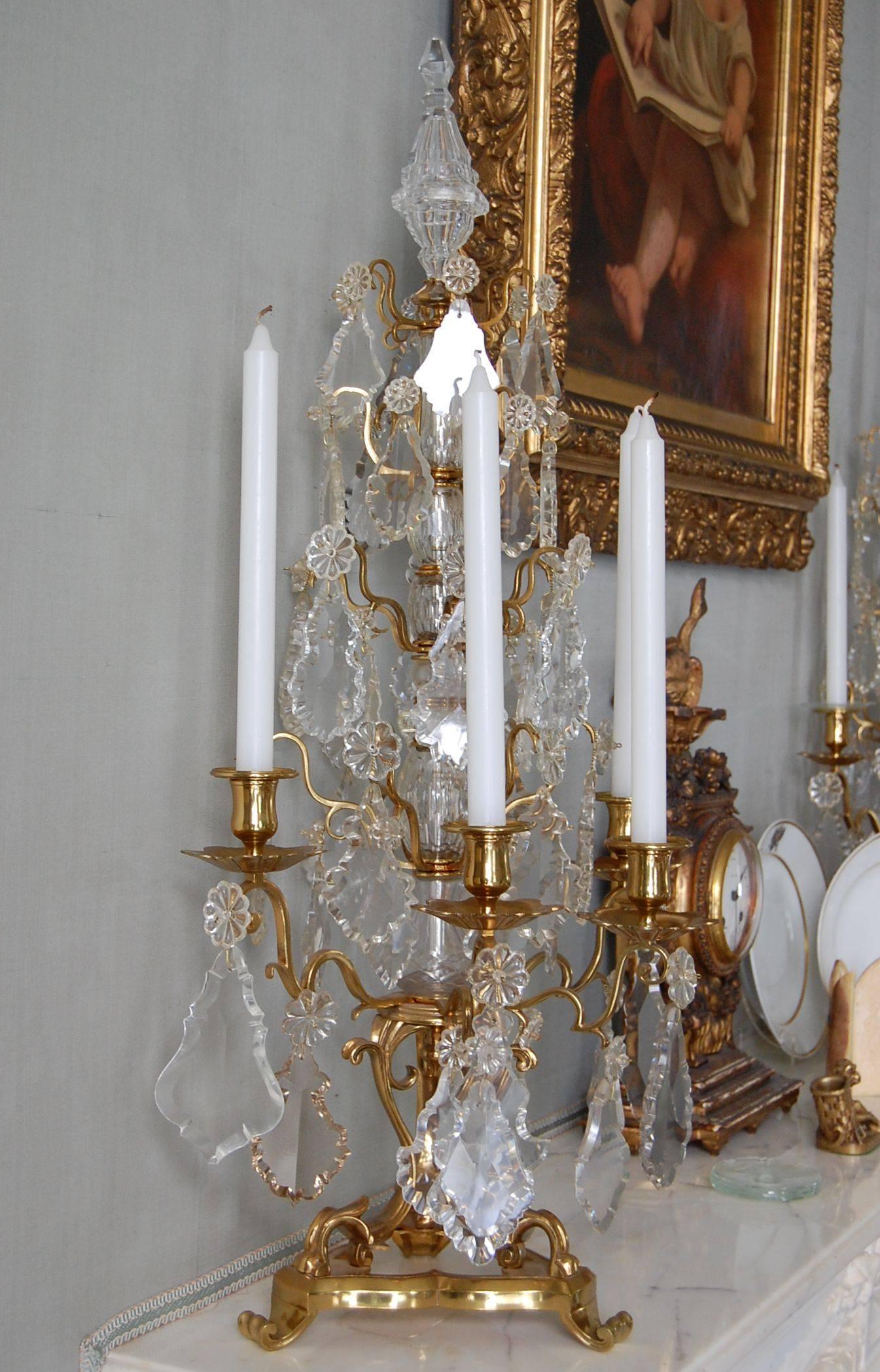 Louis XV Monumental Pair of Antique French Gilt Bronze and Crystal Girandole Candelabra For Sale