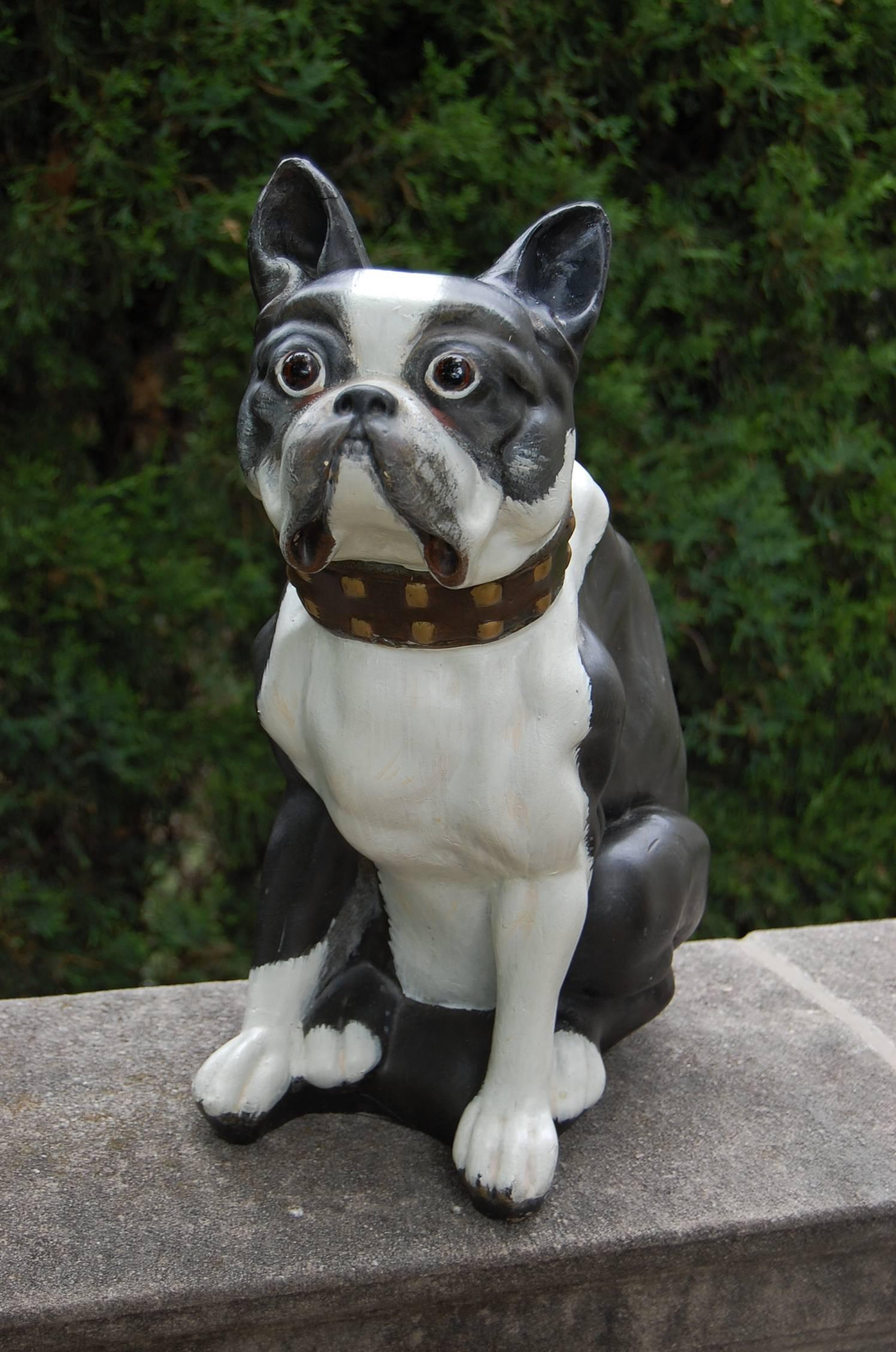 Hand-Painted Solid Plaster Figure of a Boston Terrier Carnival Dog with Original Glass Eyes