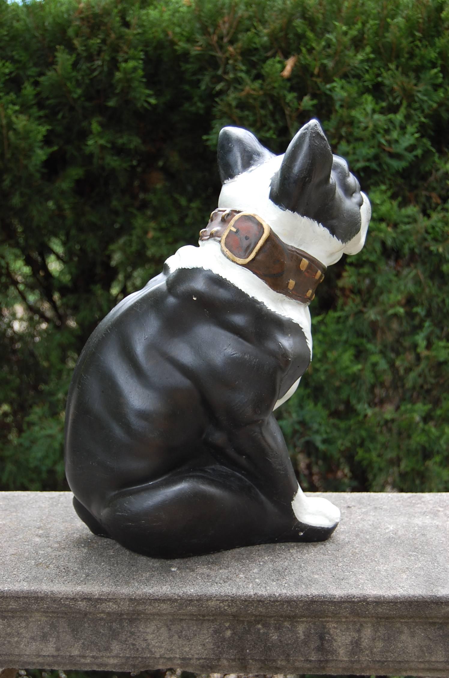 Solid Plaster Figure of a Boston Terrier Carnival Dog with Original Glass Eyes In Excellent Condition In Pittsburgh, PA