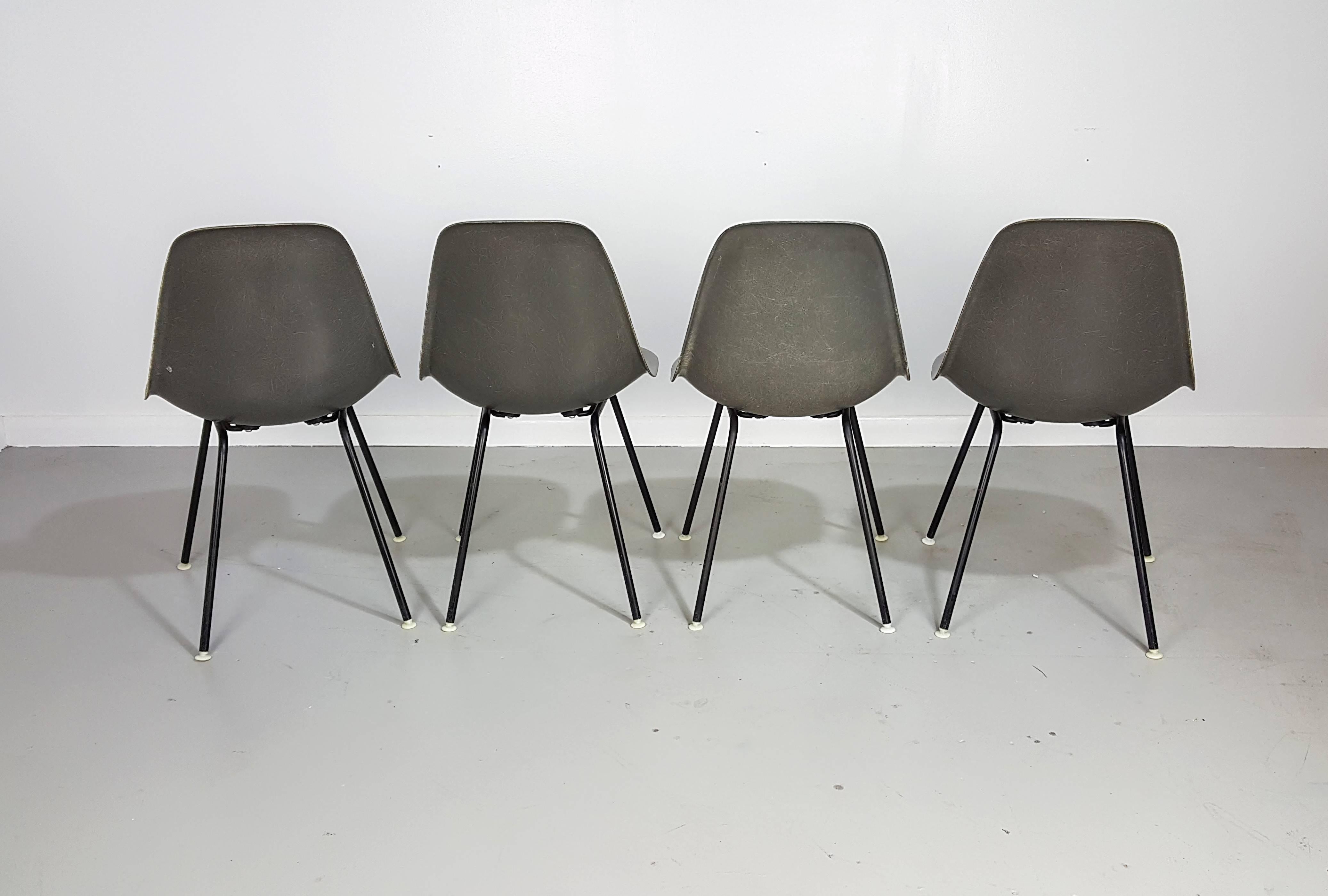 Four Elephant Gray Fiberglass Shell Chairs by Charles and Ray Eames, 1960s In Excellent Condition In New York, NY