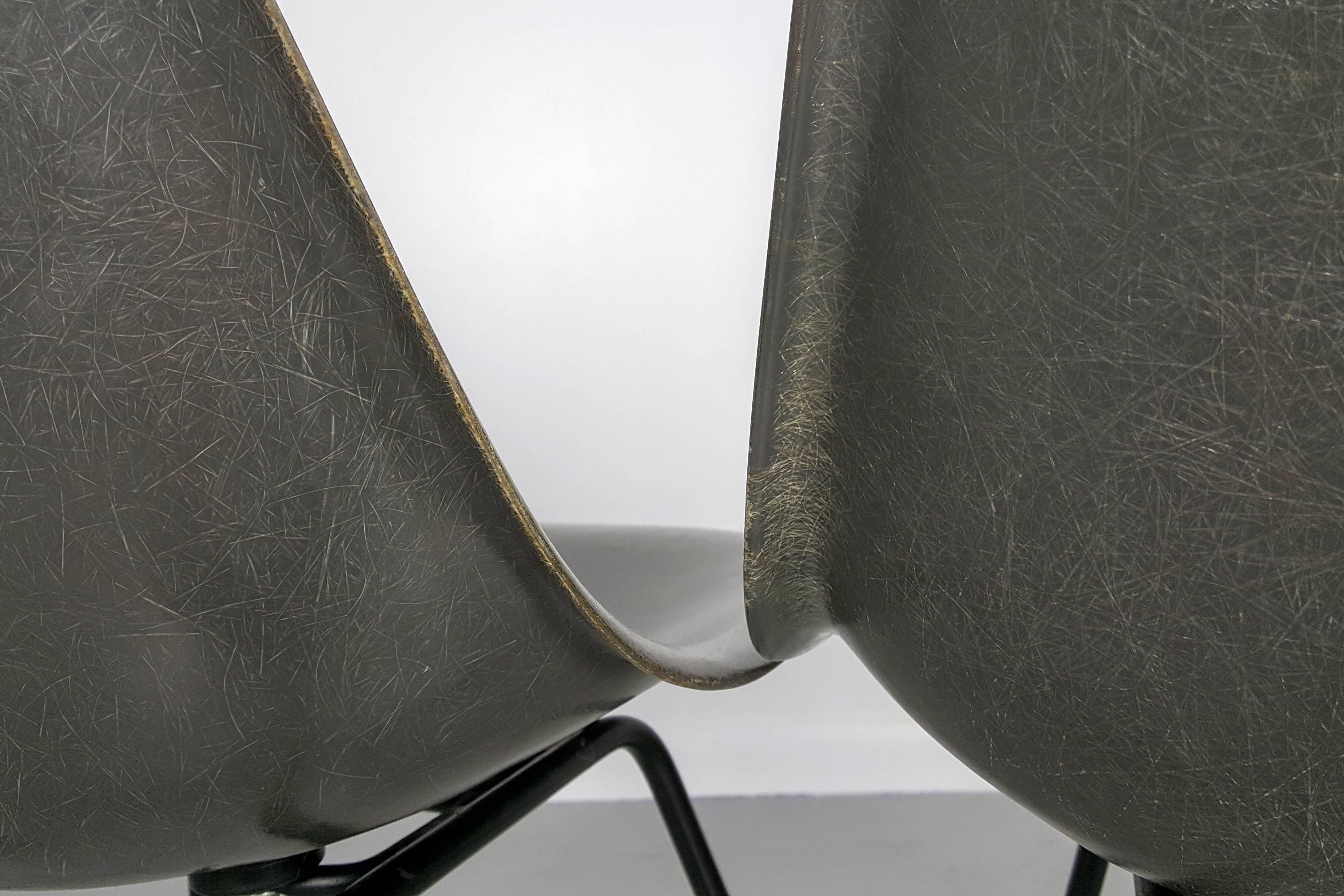 Four Elephant Gray Fiberglass Shell Chairs by Charles and Ray Eames, 1960s 1