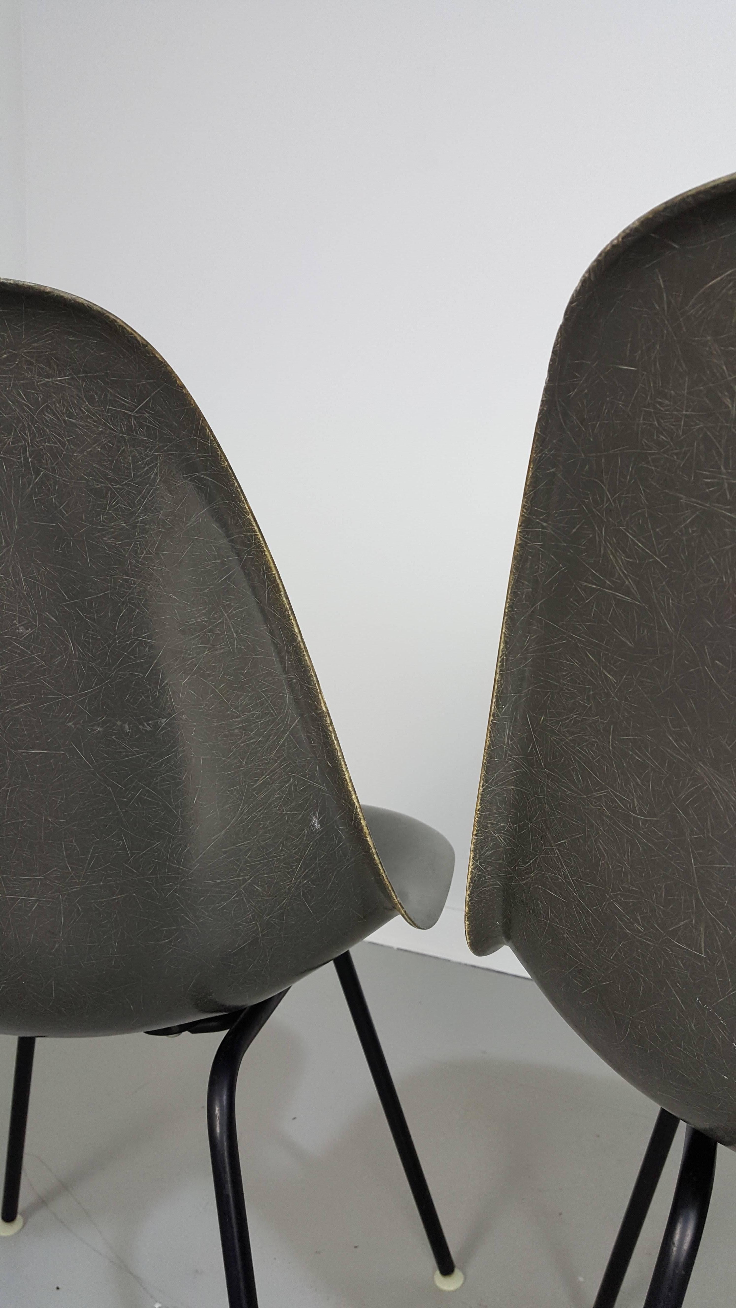 Mid-20th Century Four Elephant Gray Fiberglass Shell Chairs by Charles and Ray Eames, 1960s