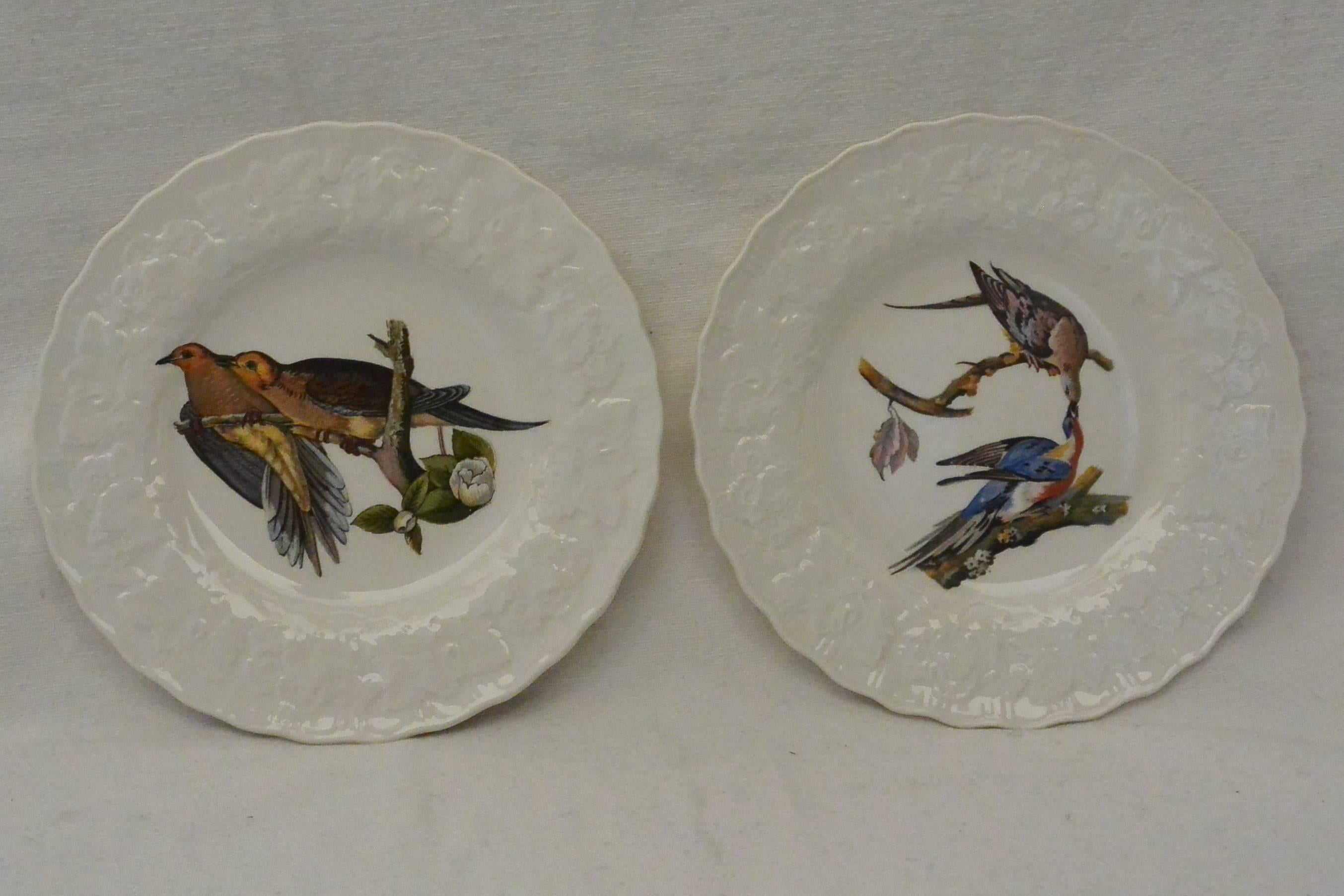 English Set of Eight Small Audubon Bird Plates