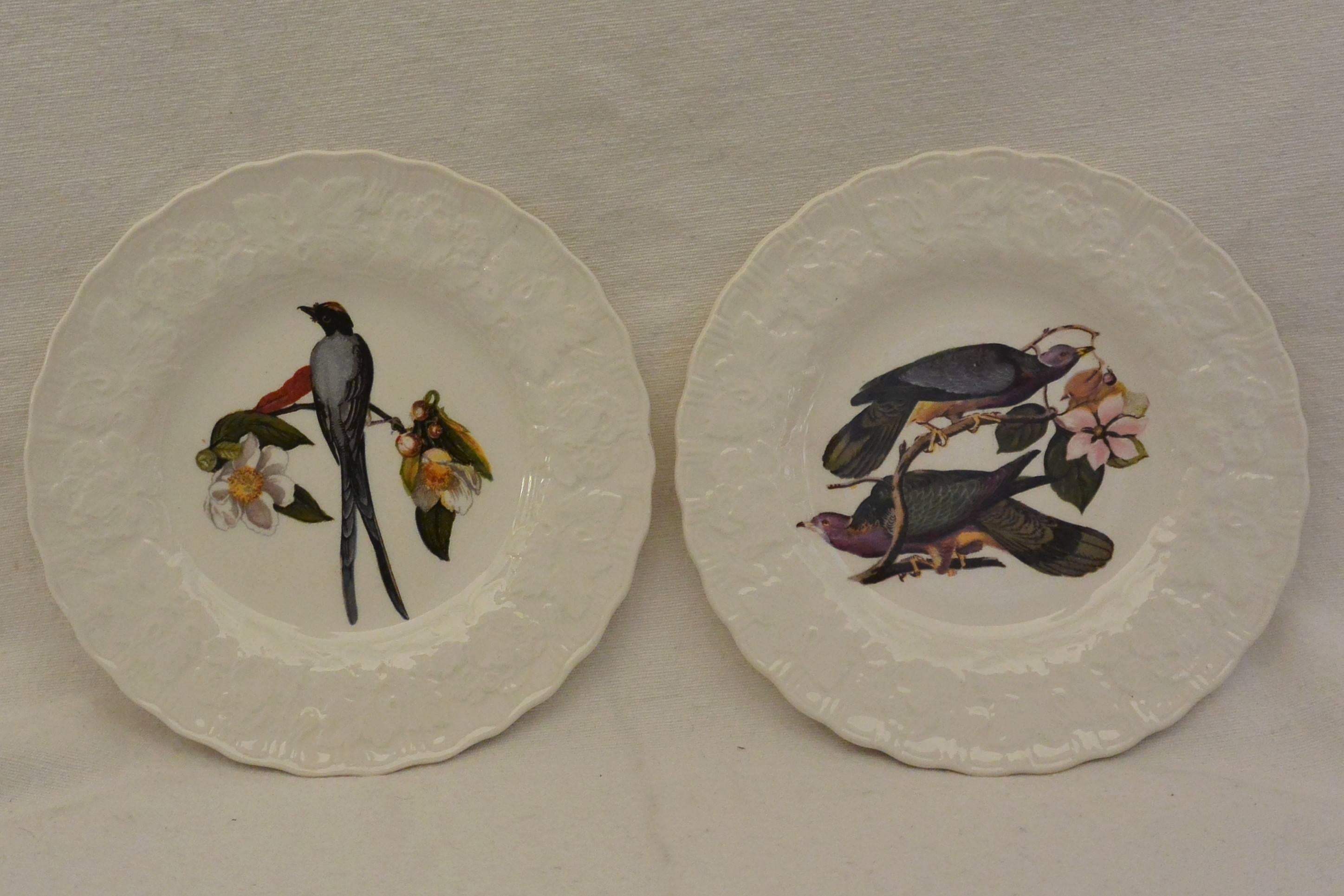 Set of eight Audubon Birds of America plates in cream with raised floral border centering on eight different birds. Alfred Meakin, England, circa 1940. 
One-Cedar Bird #43.
One-Band Tailed Pigeon #62.
One-White Crowned Sparrow #114.
One-Fork