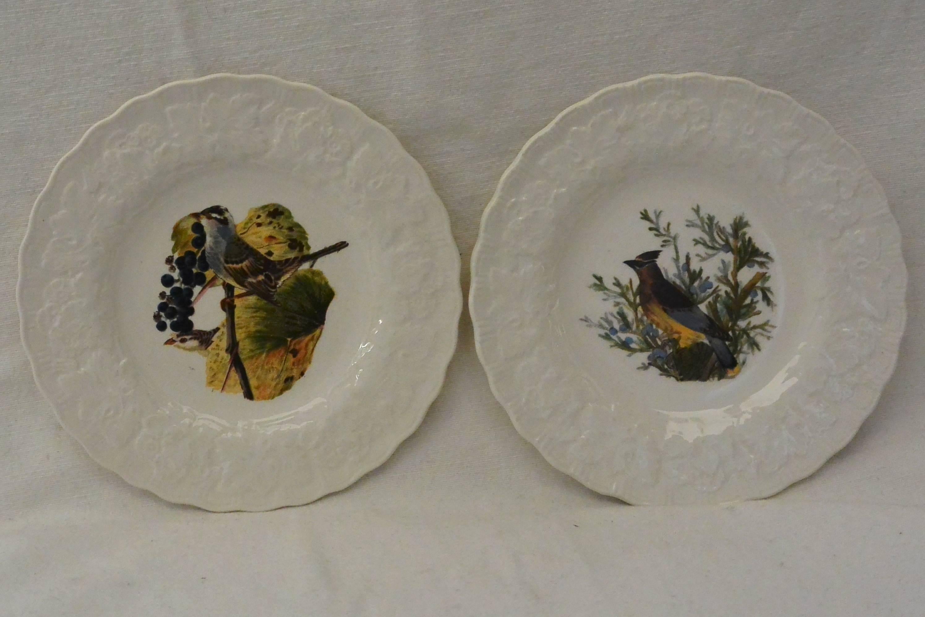 20th Century Set of Eight Small Audubon Bird Plates