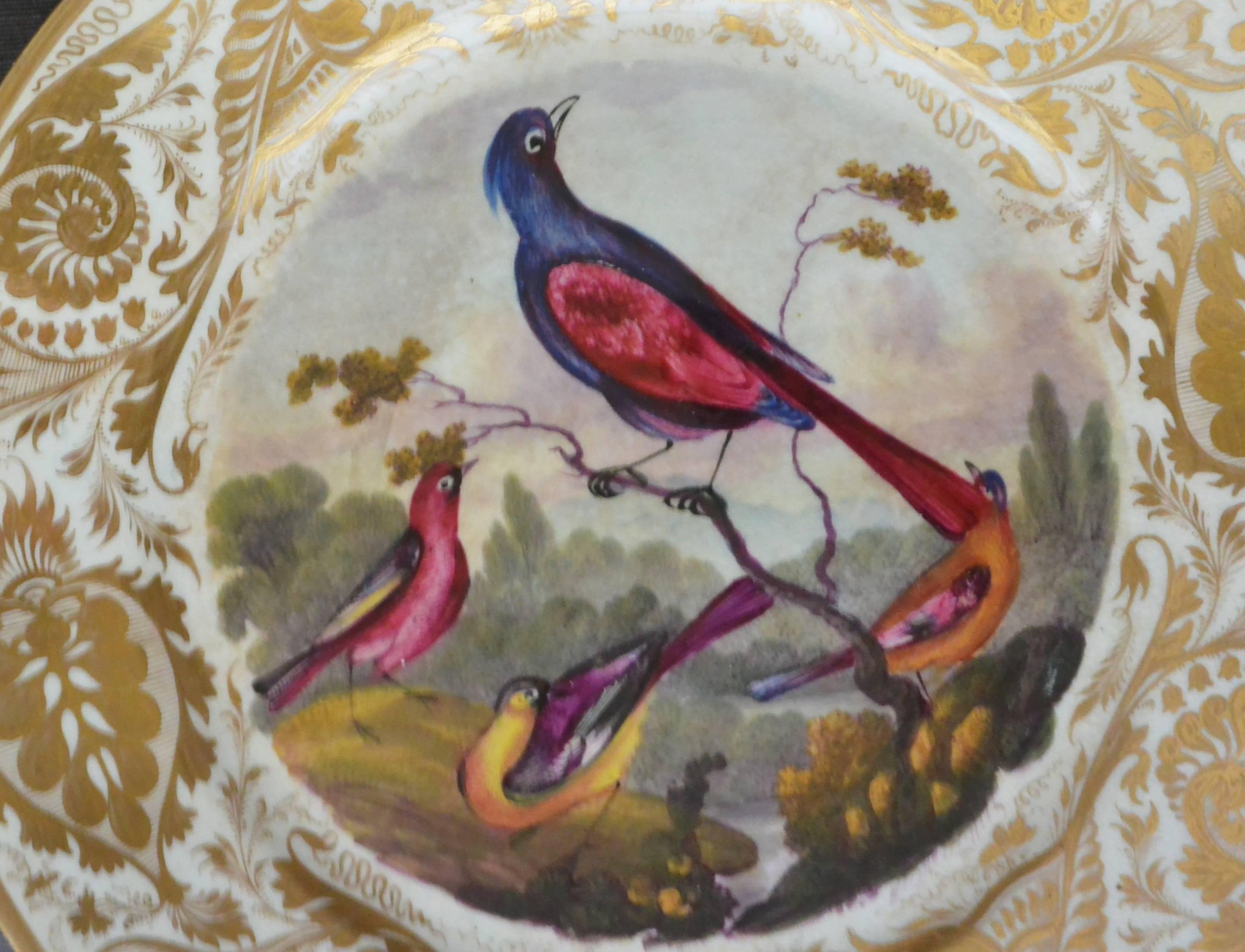 English Derby Gilt Bird Plate