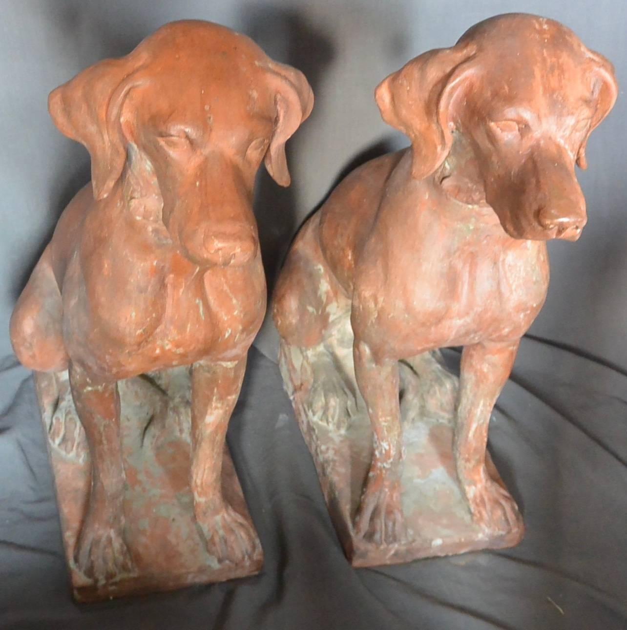 20th Century Pair of Large Italian Hunting Dogs