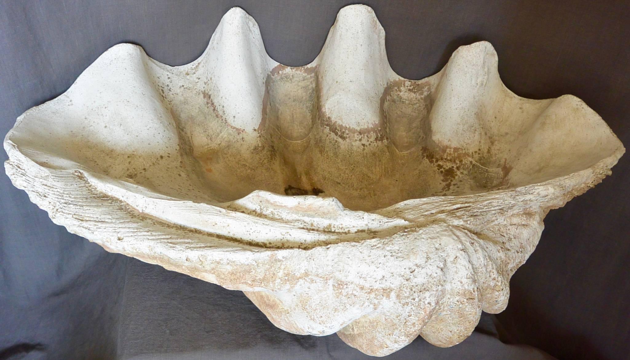 Große italienische Scagliola-Muschel. Große skulpturale Schale aus Scagliola mit natürlicher Patina, Italien, Anfang 20. Jahrhundert.
Abmessungen: 32