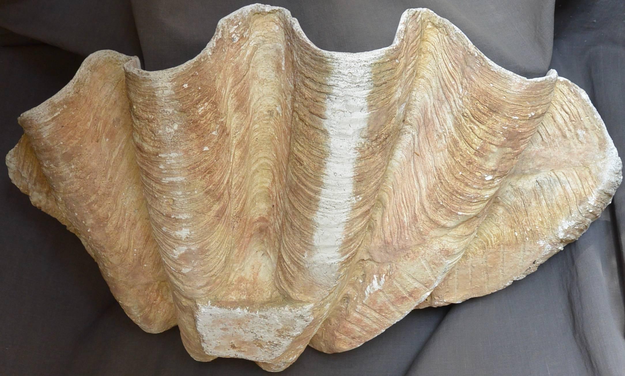 Large Italian Scagliola Shell In Good Condition For Sale In New York, NY
