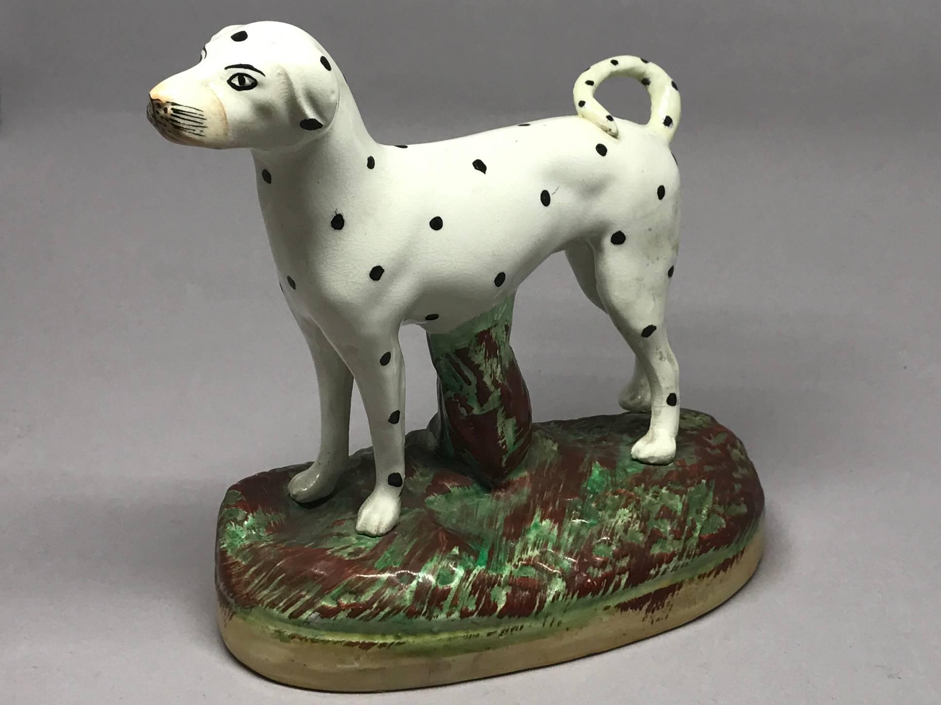 dalmatian dog for sale