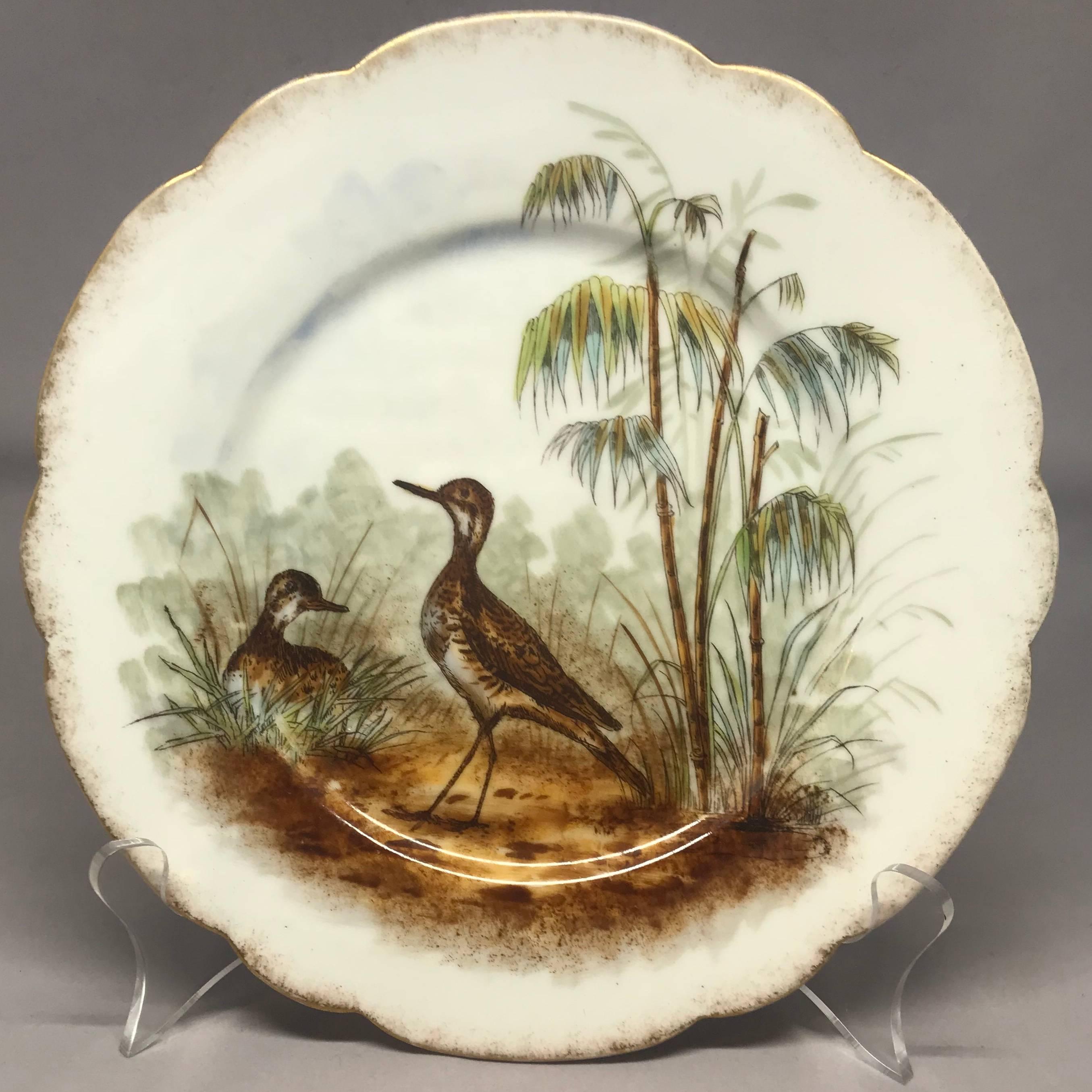antique hand painted bird plates