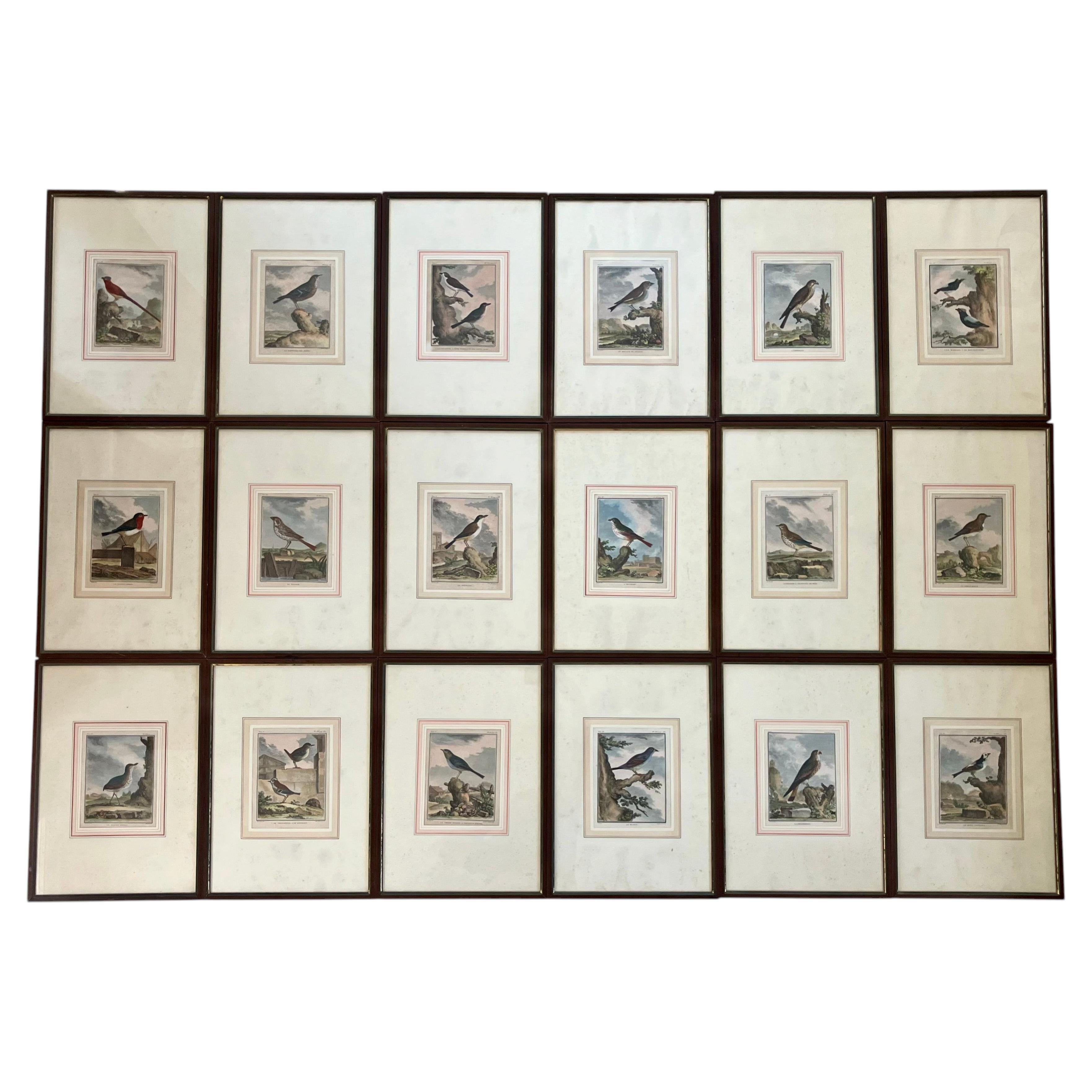Set of 18 Hand Coloured Bird Engravings