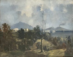 Amalfi Coast with Vesuvius