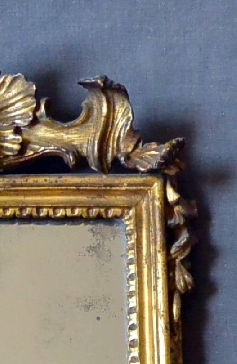 Small Italian 18th Century Rococo Gilt Carved Mirror 2