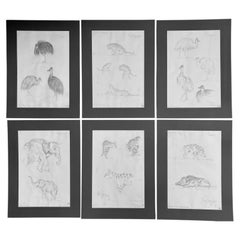 Conjunto de seis dibujos a lápiz italianos de animales, Guido Righetti, 1919