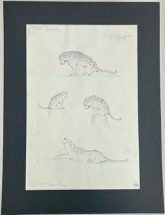 Conjunto de seis dibujos a lápiz italianos de animales, Guido Righetti, 1919