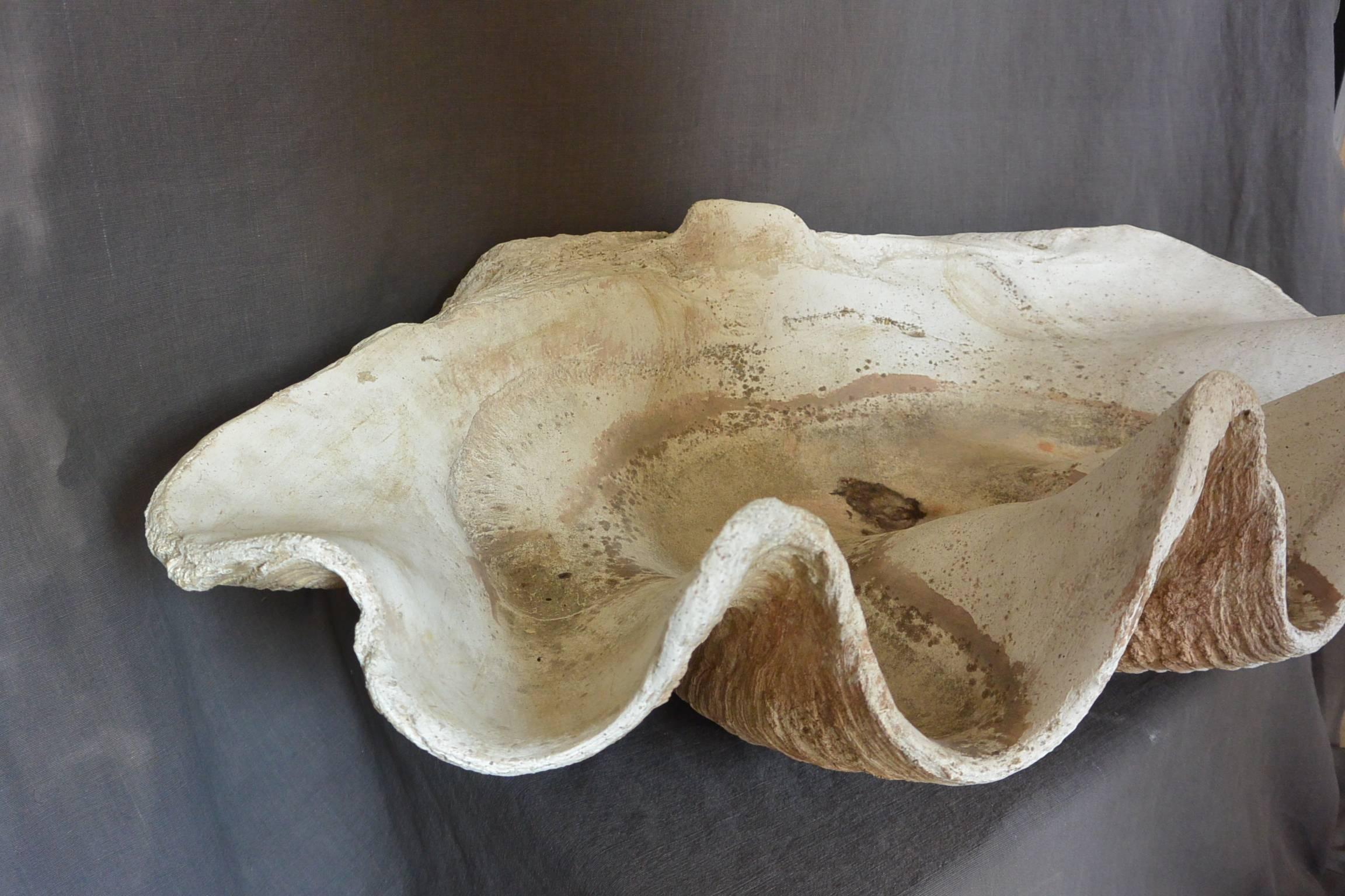 Large Italian Scagliola Shell For Sale 1