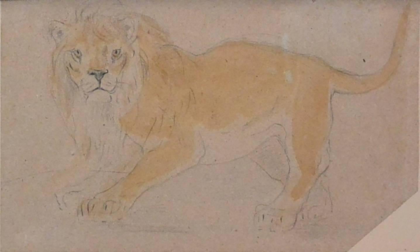 Edme Saint-Marcel (1819-1890) pencil, black crayon and watercolor drawing of a lion attributed to Edme Saint-Marcel-Cabin, France, 19th century. 
Dimensions: 12