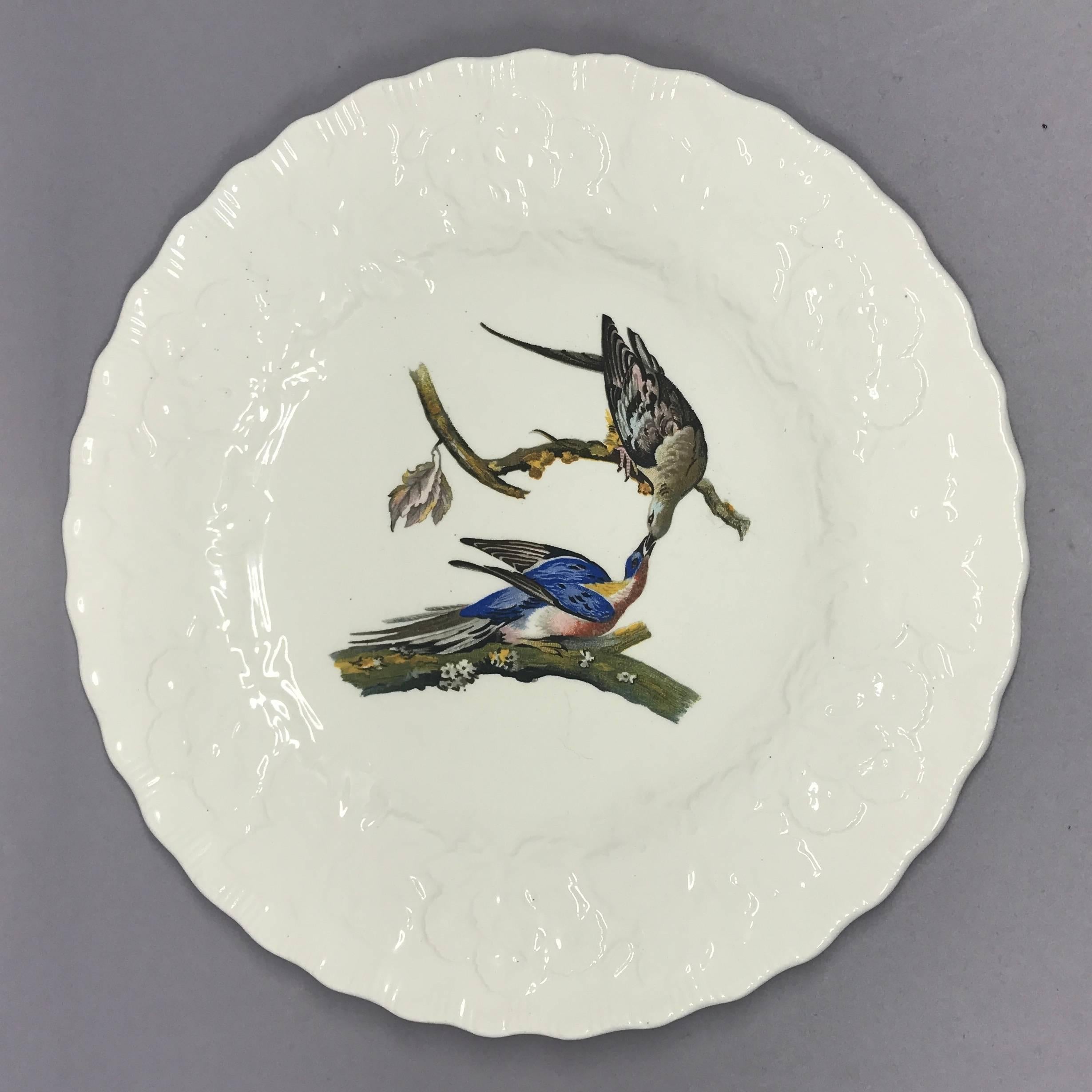 English Set of Eight Audubon Bird Plates