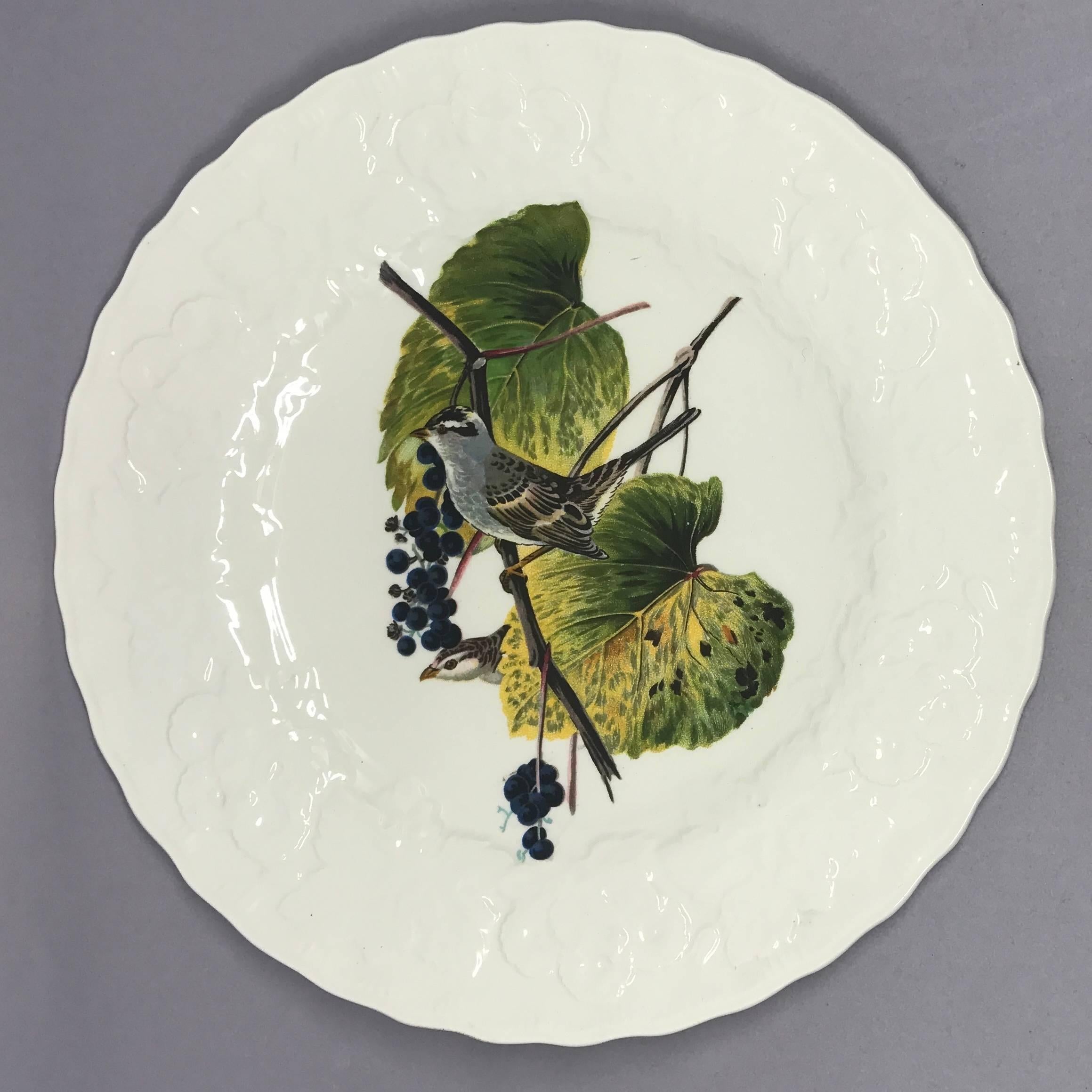 20th Century Set of Eight Audubon Bird Plates