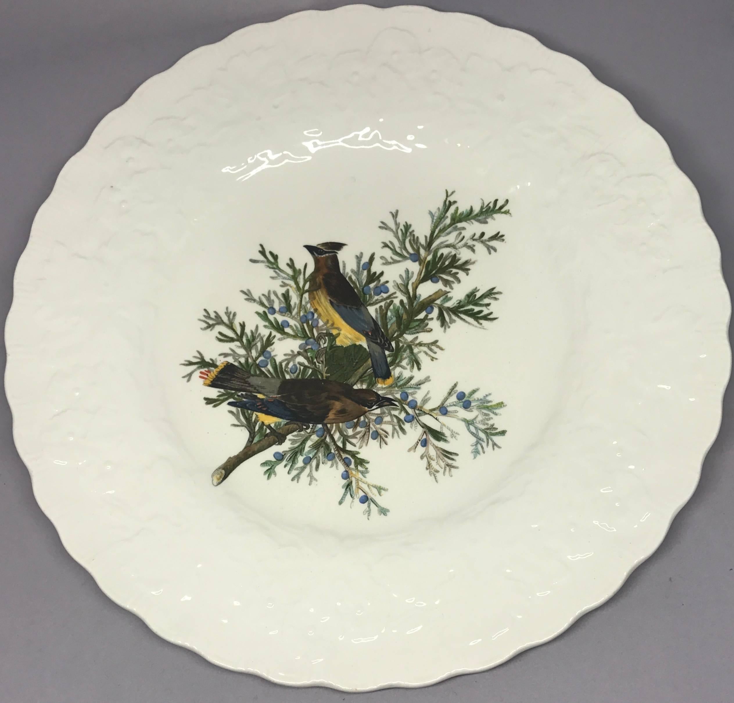20th Century Set of Eight Audubon Bird Plates