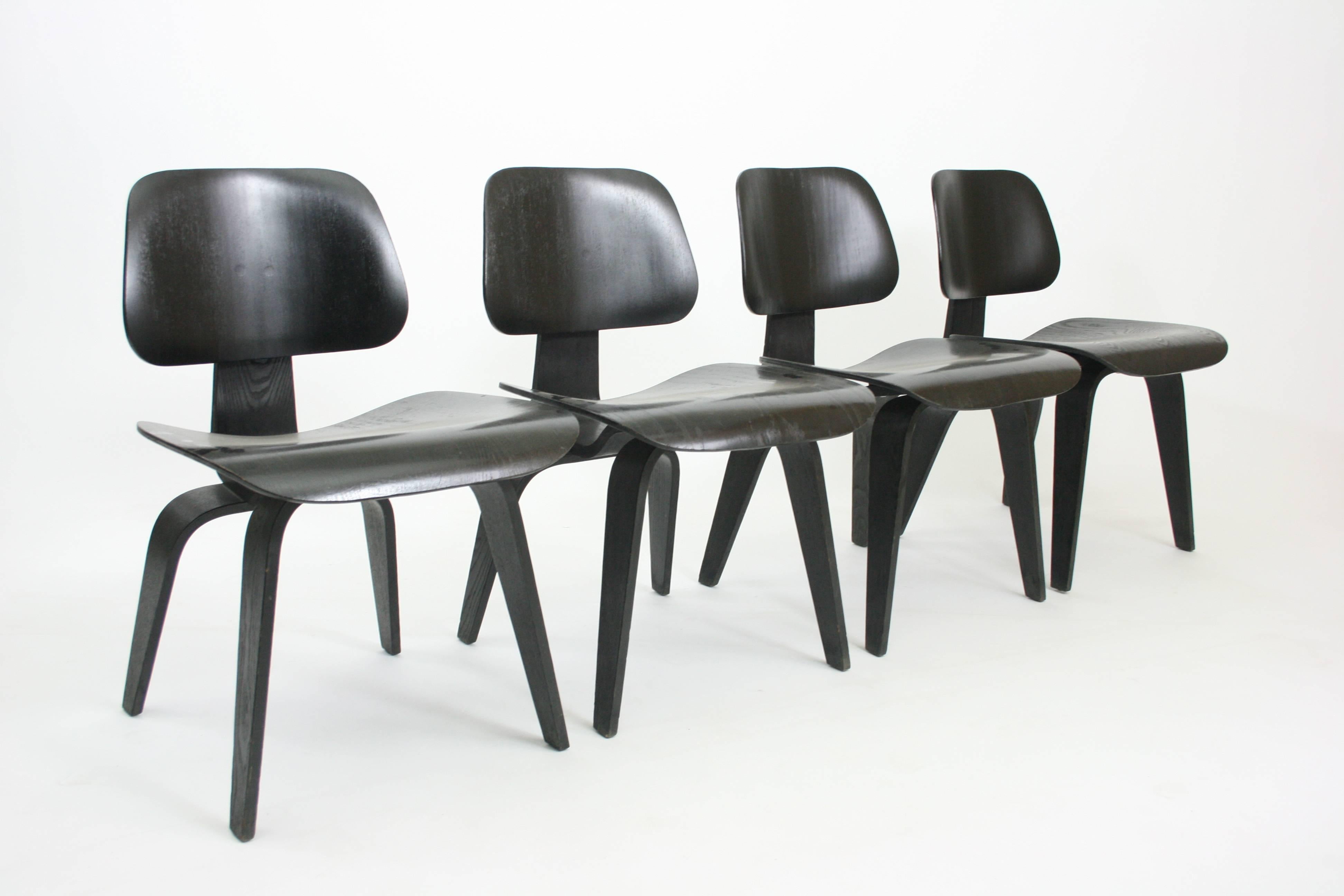 A great vintage set of Eames D.C.W. (dining chair wood) chairs in ebony for Evans products for Herman Miller. This set maintains all original hardware and shock-mounts and is the 5-2-4 bolt pattern which indicates the earliest examples of these