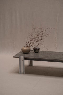 Brutalist Coffee Table with Fossil Stone Top, 1970s