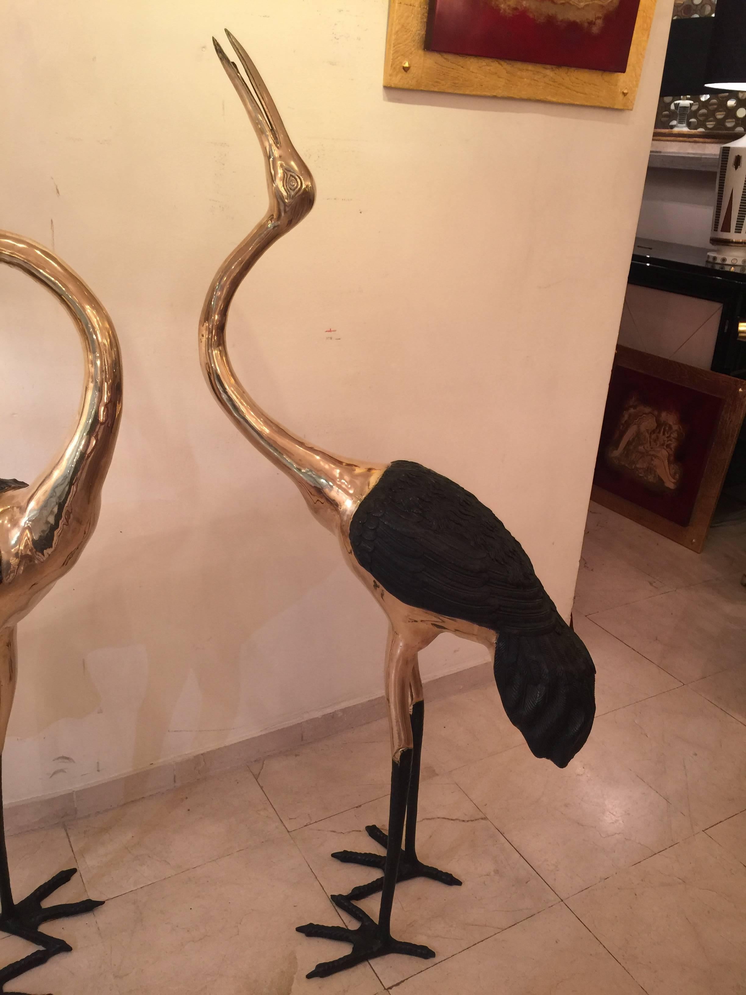 French Rare Couple of Big Seventies Bronze Herons For Sale