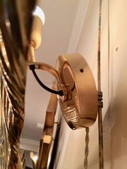 Pair of Gingko Brass Sconces