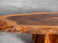 Naturalistic Coffee Table, French c. 1970