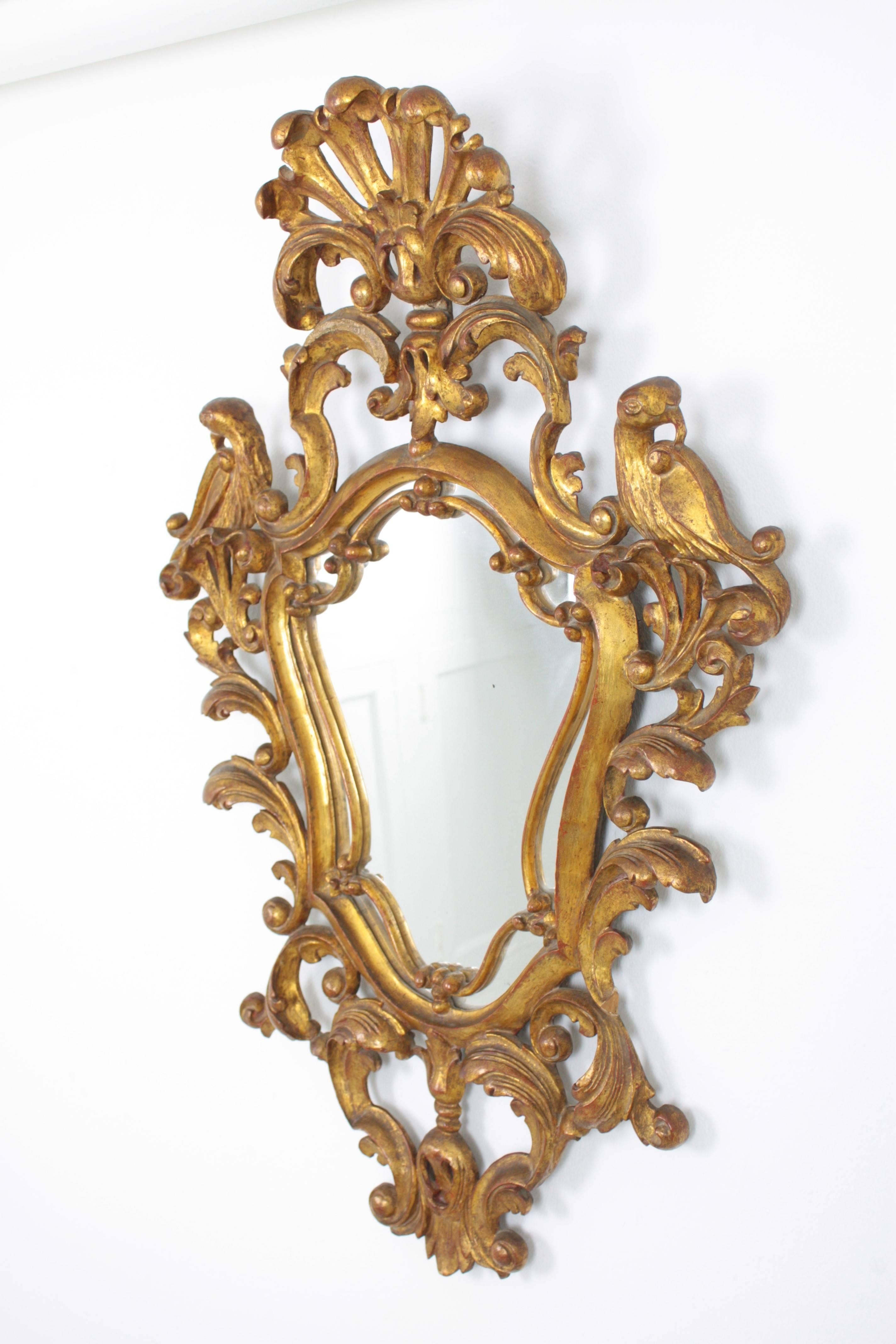 Spanish Rococo Giltwood Mirror, Spain, 19th Century