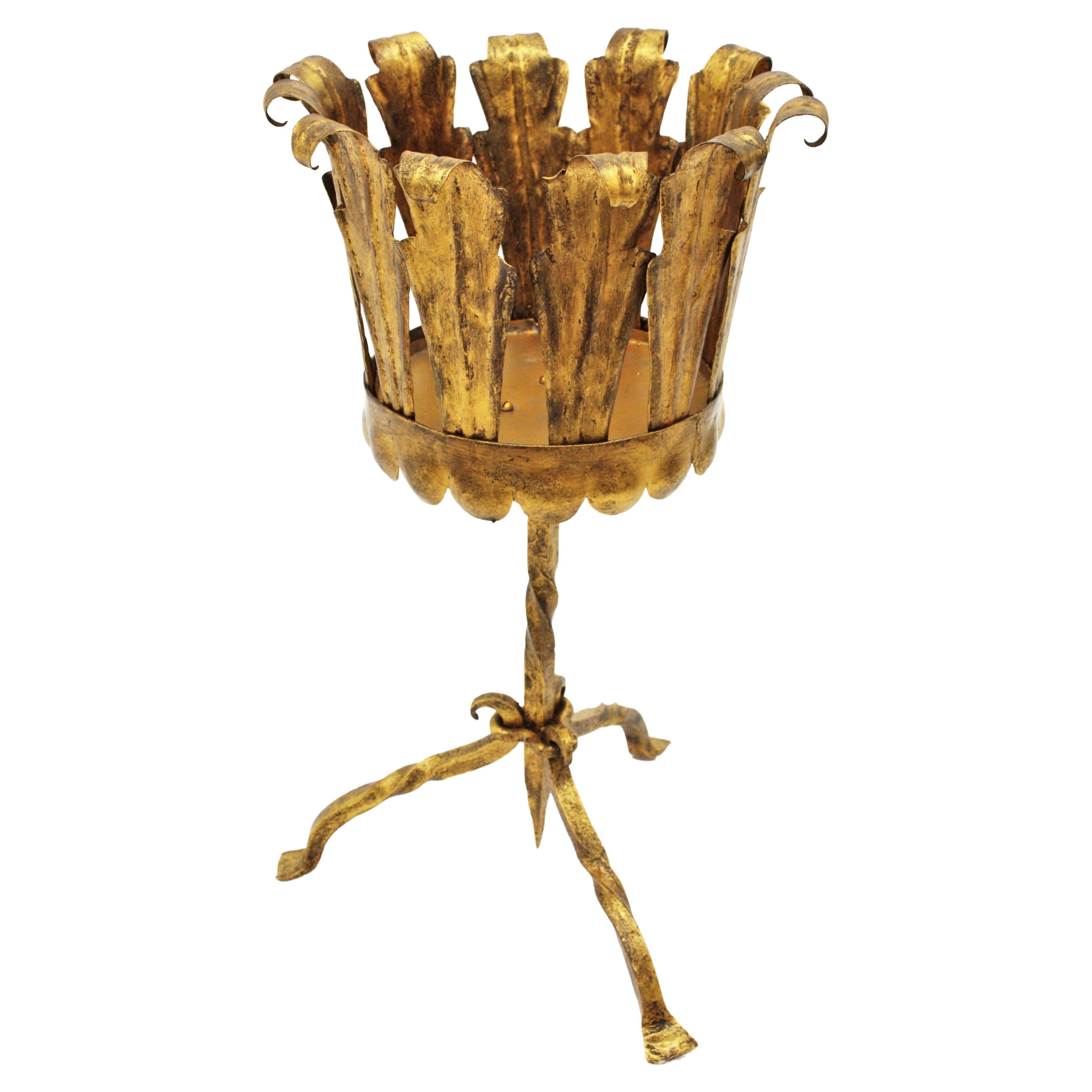 Jardinière de style gothique à feuilles en fer doré martelé à la main, fabriquée à l'époque du Mid-Century Modern, Espagne, 1950-1960.
Magnifique à placer dans un ensemble avec d'autres supports en fer doré ou des tables de guéridon.
Il peut être