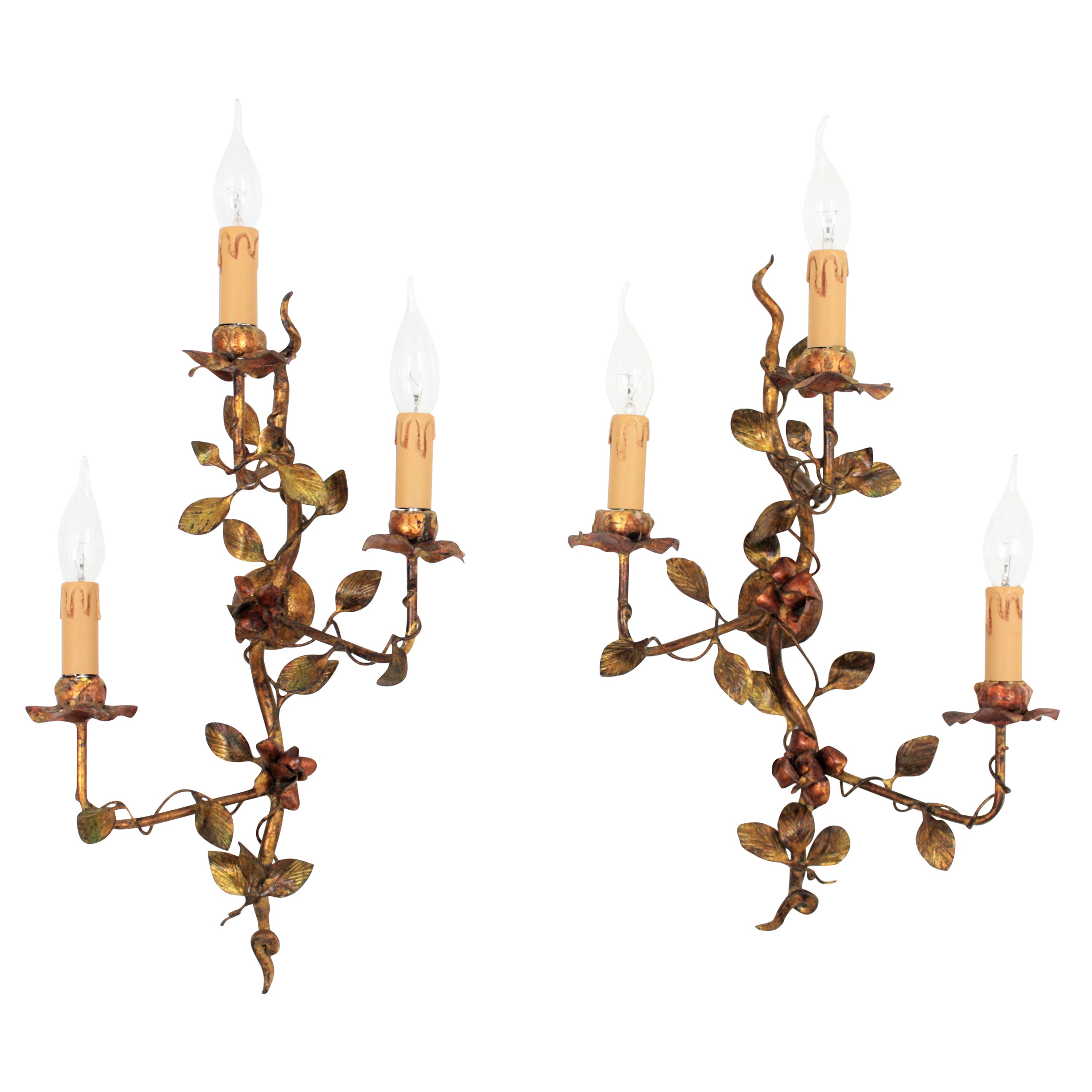 Pair of Foliage Floral Tole Wall Sconces in Polychromed Gilt Iron For Sale