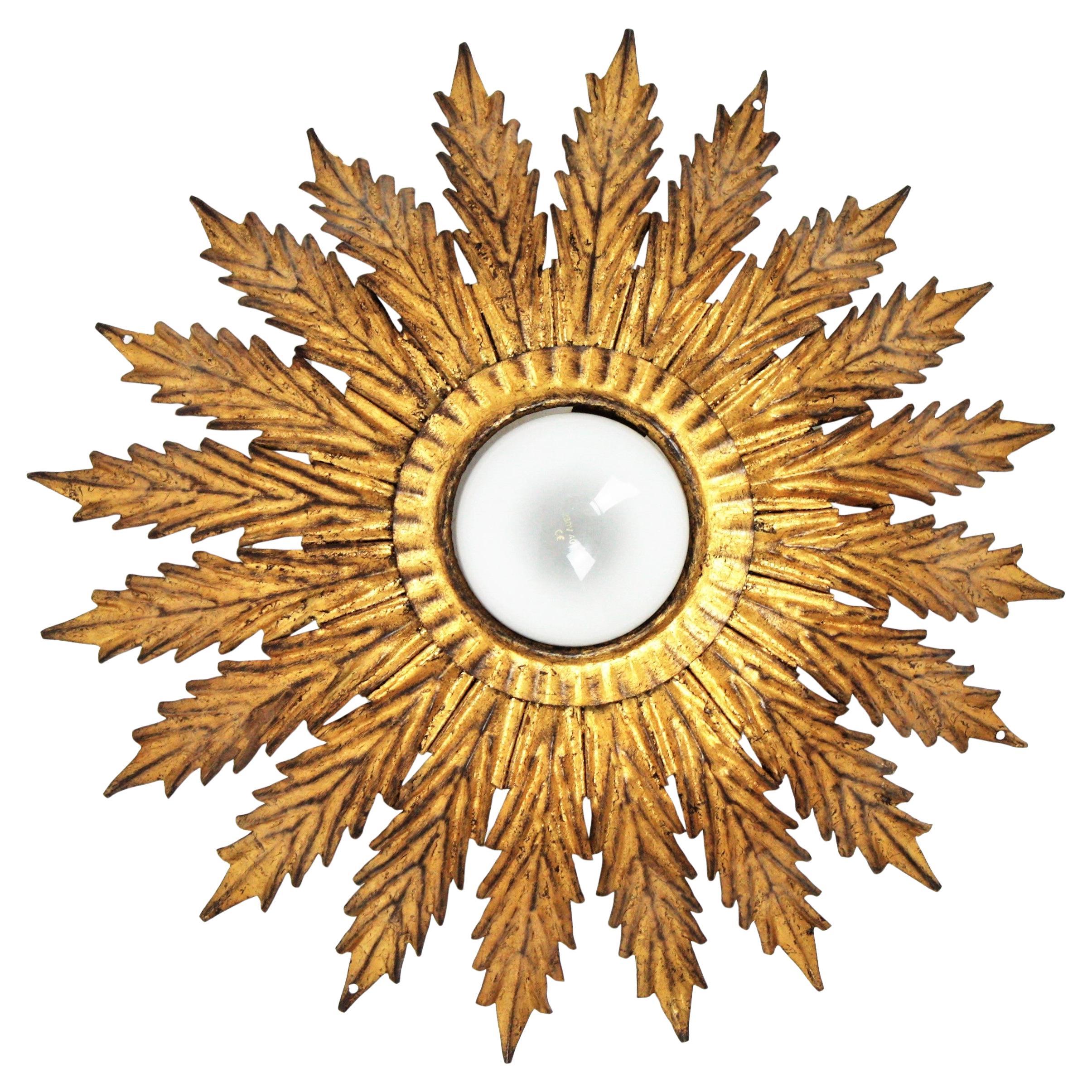 Luminaire français Sunburst avec feuilles festonnées, fer doré, 1950s