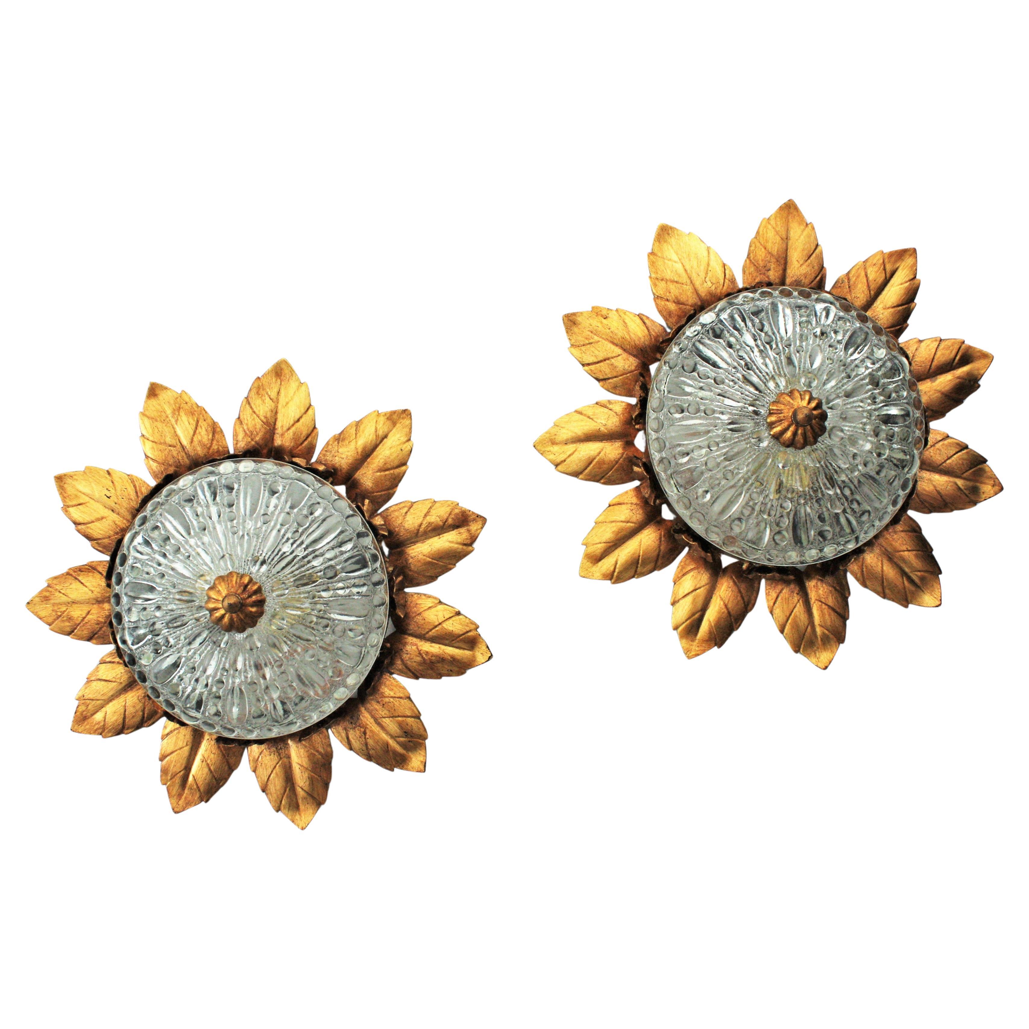 Eye-catching pair of Mid-Century Modern sunburst light fixtures,  Spain, 1950s.
Both pieces feature a gilt iron flower or sunburst crown shaped structure with iron leaves accented by small flowers. They have bubble patterned pressed glass shades
